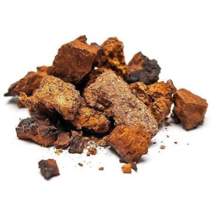 Чага, березовый гриб, г