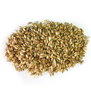 Ячмень в оболочке, вес, кг