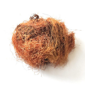 Кукурузные рыльца, г