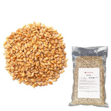 Пшеница для проращивания 500г в.п