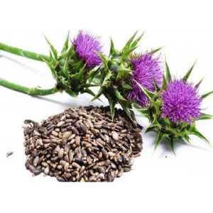 Расторопша 400г в.п.